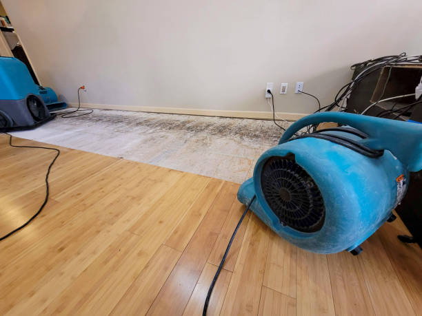 Professional Structural Drying technician working in Lindstrom, MN